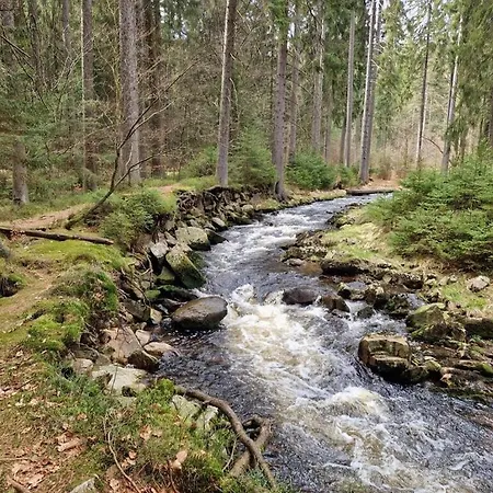 Schwarzmuehle In The Mountains